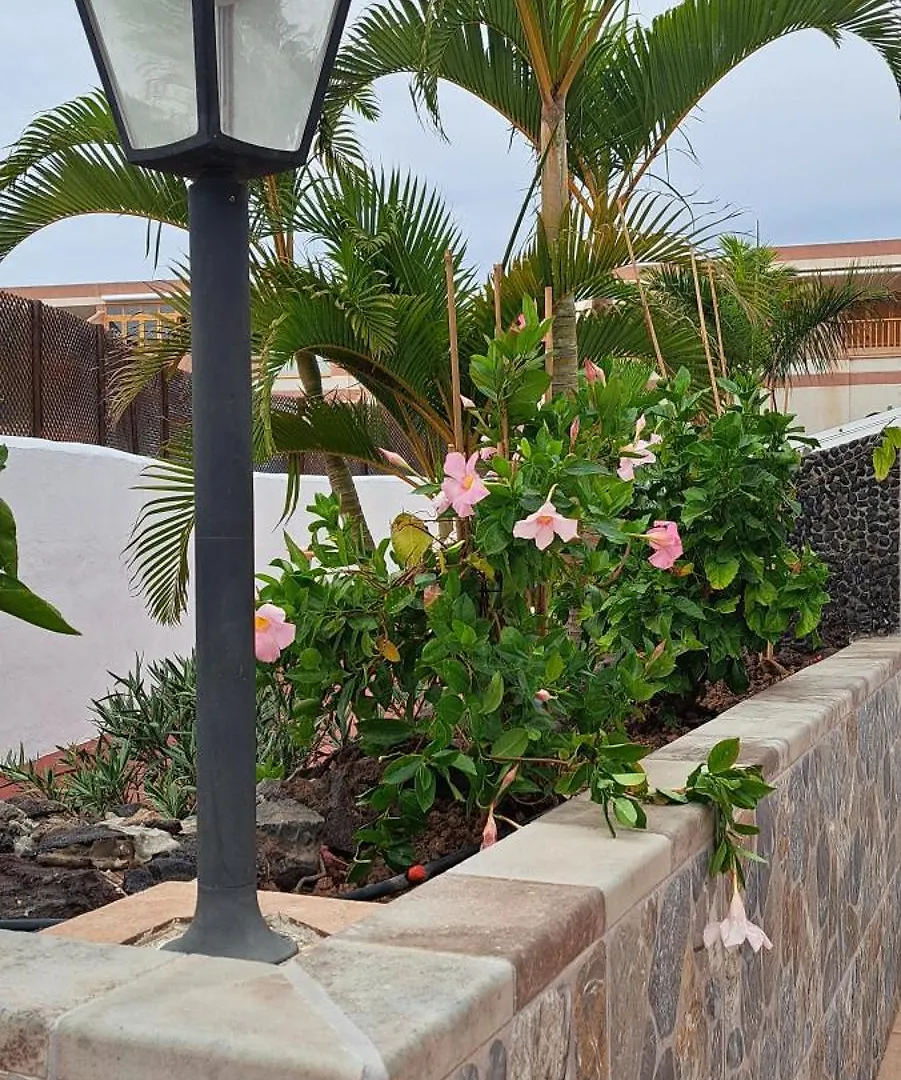 דירות ארונה Casa Terrasol