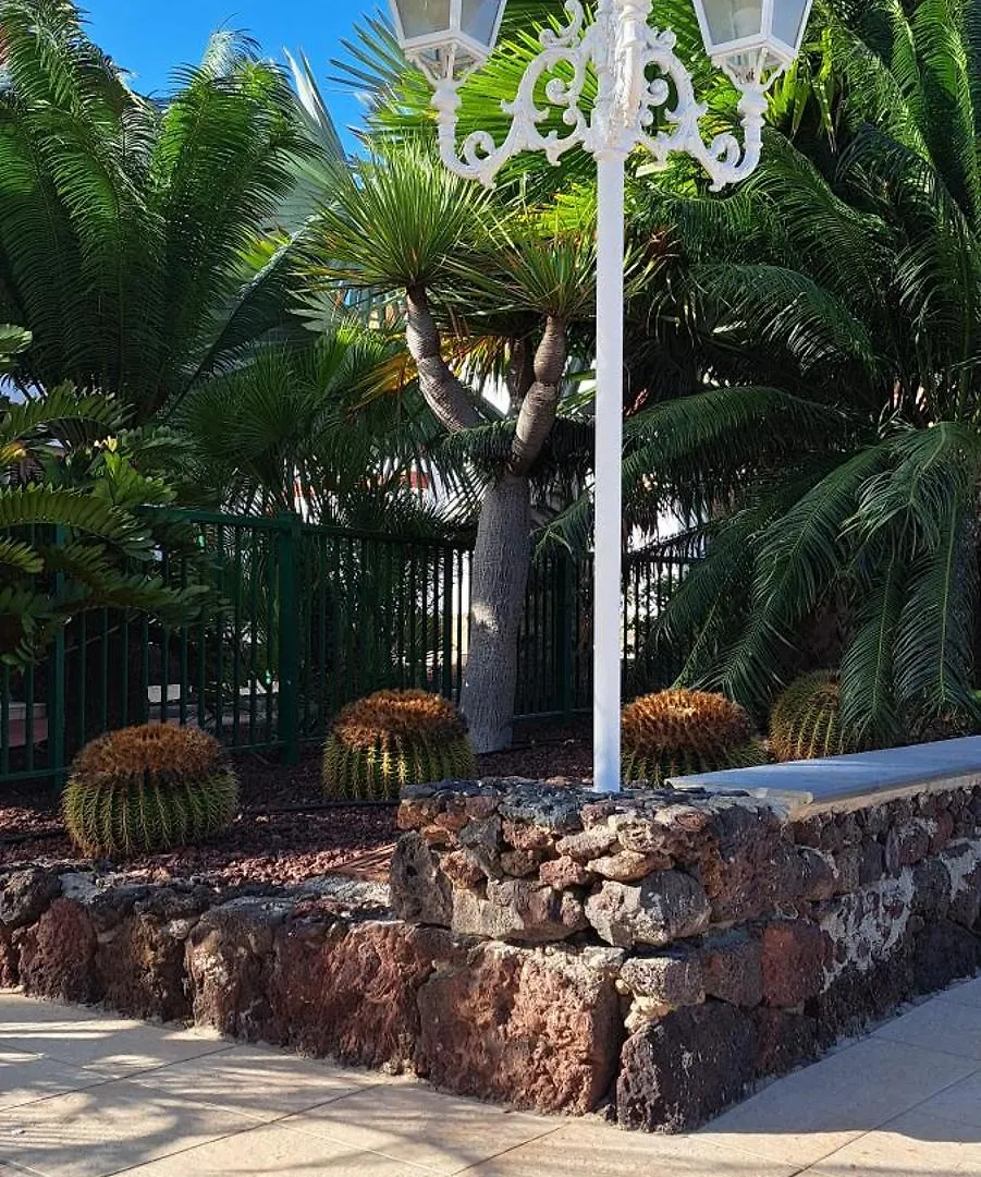 דירות ארונה Casa Terrasol