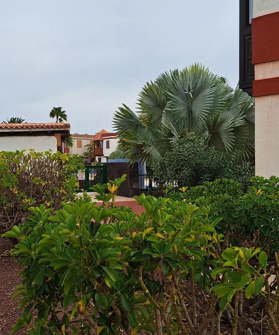 Apartament Casa Terrasol Arona  0*, Arona (Tenerife)